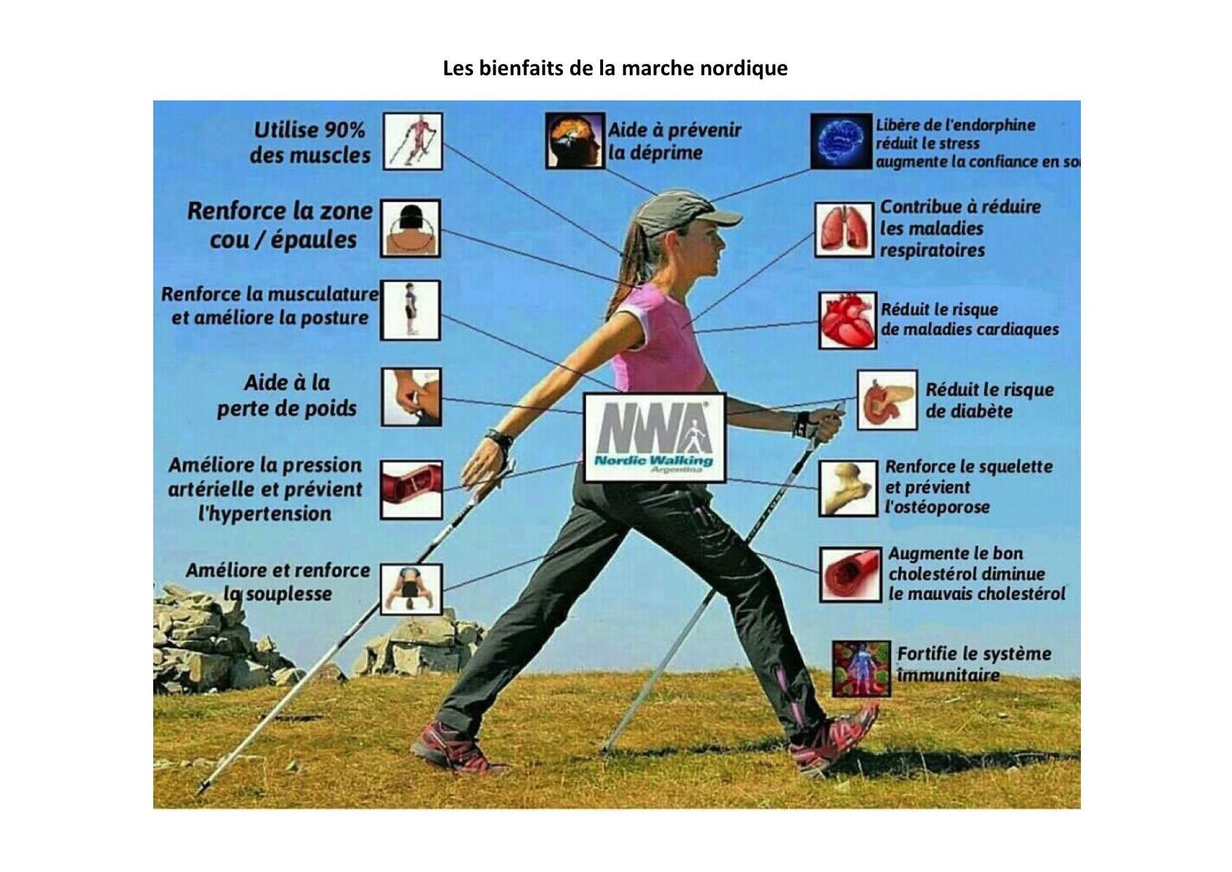 Venez pratiquer la marche nordique avec la FAPF